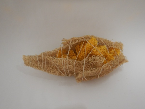 Yellow cocoon form
